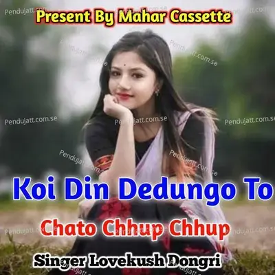 Koi Din Dedungo To Chato Chhup Chhup - Lovekush Dungri album cover