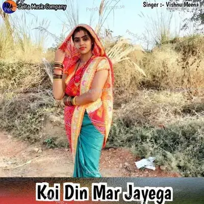 Koi Din Mar Jayega - Vishnu Meena album cover 