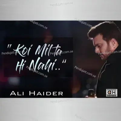 Koi Milta Hi Nehin - Ali Haider album cover 