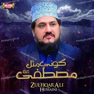 Sarkar E Do Aalam - Zulfiqar Ali Hussaini album cover 