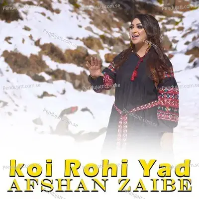 Koi Rohi Yad - Afshan Zaibe album cover 