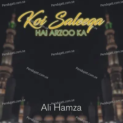 Koi Saleeqa Hai Arzoo Ka - Ali Hamza