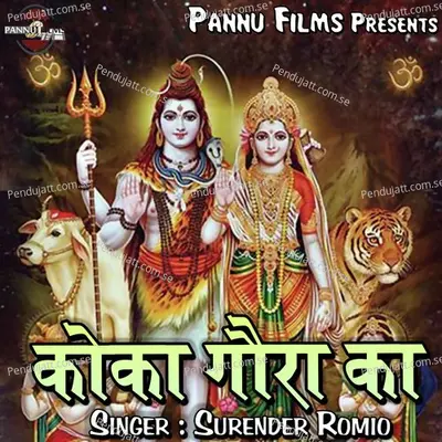 Tu Raja Ki Rajdulari - Surender Romio album cover 