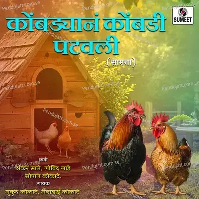 Mela Mawali Distoy Ga - Mainabai Kokate album cover 