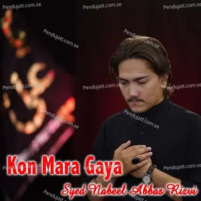 Kon Mara Gaya - Syed Nabeel Abbas Rizvi album cover 