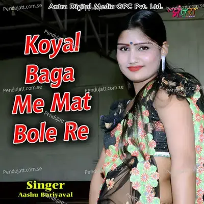 Koyal Baga Me Mat Bole Re - Aashu Bariyaval album cover 