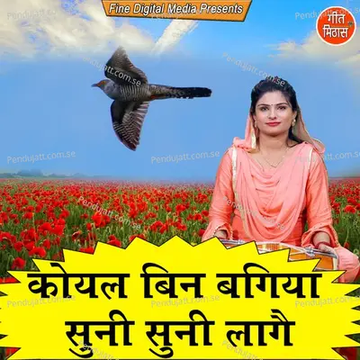 Koyal Bin Bagiya Suni Suni Laage - Sheela album cover 