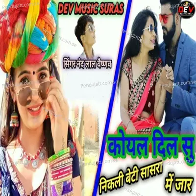 Koyal Dil Su Nikali Beti Sasra Me Jan - Nandlal Vaishnav album cover 