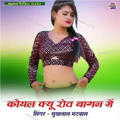 Koyal Kyu Rov Bagan Me - Sukhlal Matwas album cover 