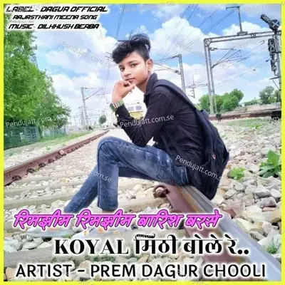 Koyal Mithi Bole Re - PREM DAGUR CHOOLI album cover 