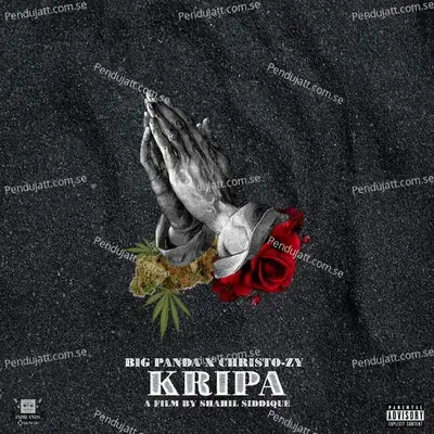 Kripa - Big Panda album cover 