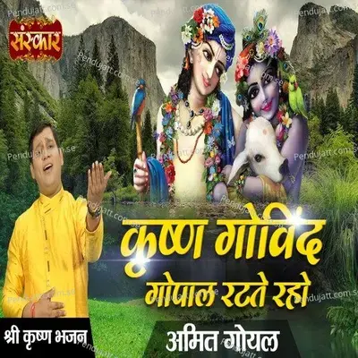 Krishna Govind Gopal Rattey Raho - Amit Goyal album cover 