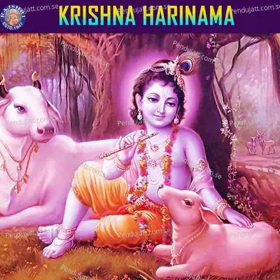 Krishna Harinama - Rajalakshmee Sanjay
