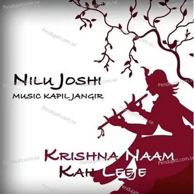 Daras Bina - Nilu Joshi album cover 