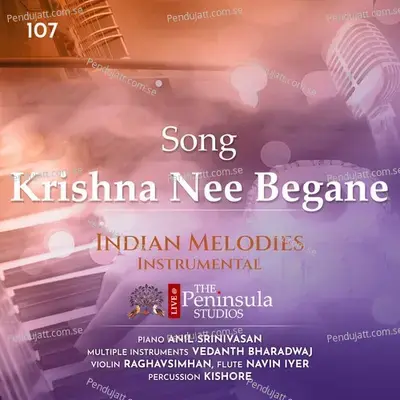 Krishna Nee Begane - Vedanth Bharadwaj album cover 