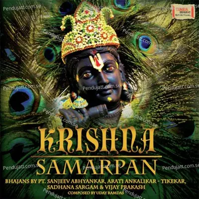 Teri Bansi Pukaare - Sadhana Sargam album cover 