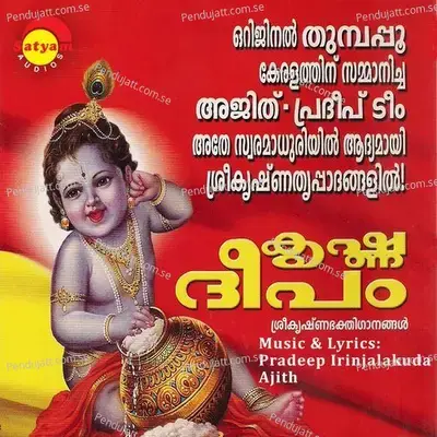 Krishna Krishna - Pradeep Irinjalakkuda album cover 