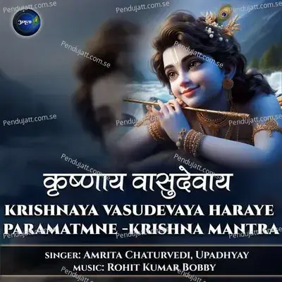 Krishnaya Vasudevaya Haraye Paramatmane-Krishna Mantra - Amrita Chaturvedi album cover 