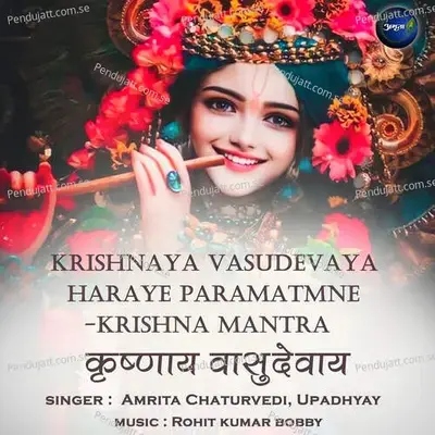 Krishnaya Vasudevaya Haraye Paramatmane Tra - Amrita Chaturvedi album cover 