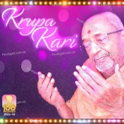 Krupa Kari Lai Le - Divyang Ray album cover 