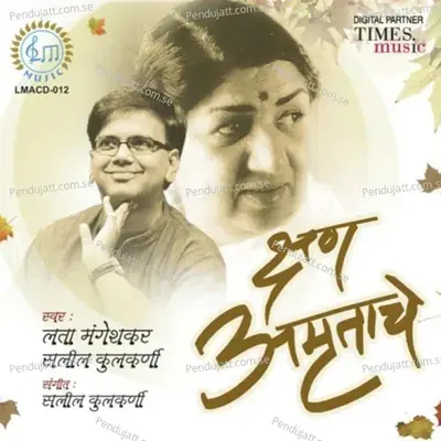 Nako Karu Sakhi Aasa - Salil Kulkarni album cover 