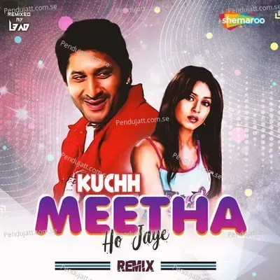 Kuchh Meetha Ho Jaye - Remix - Sonu Nigam album cover 