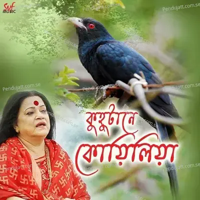 Maya Bhora Chandni Raate - Haimanti Shukla album cover 