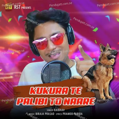 Kukura Te Palibi To Naare - Baibhav album cover 