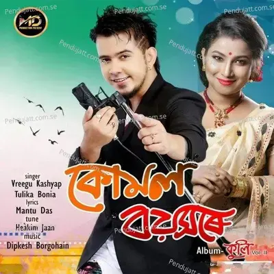 Kumal Boyoxore - Vreegu Kashyap album cover 