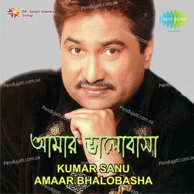 Saptodingate Bhese Bhese - Kumar Sanu album cover 