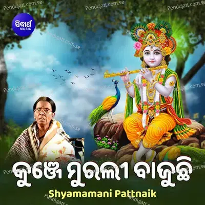 Kunje Murali Bajuchhi mp3 song