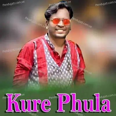 Kure Phula - Shashwat Kumar Tripathy album cover 