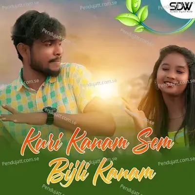 Kuri Kanam Sem Bijli Kanam - Stephan Tudu album cover 