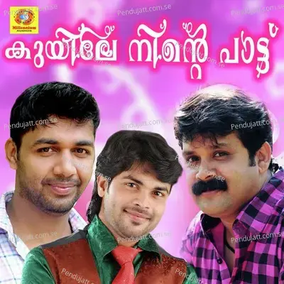 Poonilavudhicha - Vidhu Prathab album cover 