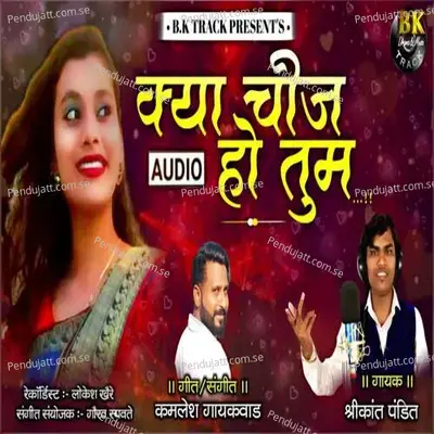 Kya Chij Ho Tum - Shrikant Pandit album cover 