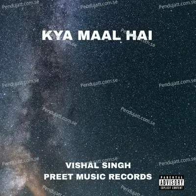 Kya Maal Hai - Vishal Singh album cover 
