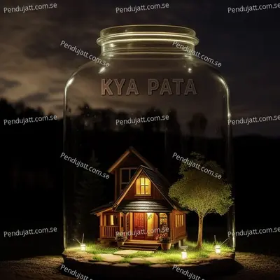 Kya Pata - Moosa Saleem album cover 