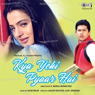 Dil Ki Nazar Mein - Alka Yagnik album cover 