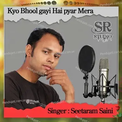 Kyo Bhool Gayi Hai Pyar Mera - Seetaram Saini album cover 