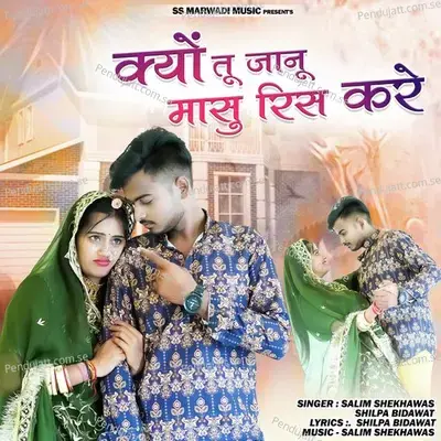 Kyo Tu Jaanu Masu Ris Karey - Salim Shekhawas album cover 