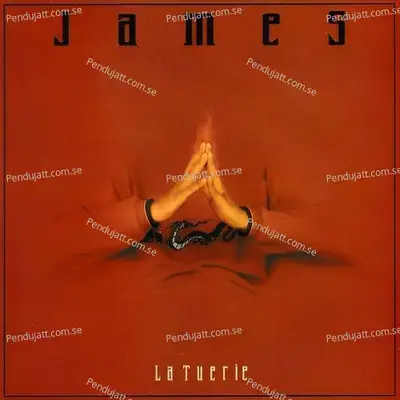 Comment C - James album cover 