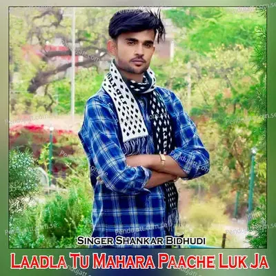 Laadla Tu Mahara Paache Luk Ja - Shankar Bidhudi album cover 