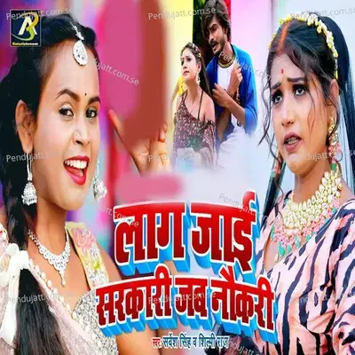 Laag Jai Sarkari Jab Naukari - Sarvesh Singh album cover 