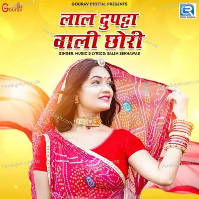 Laal Dupatta Wali Chhori - Salim Shekhawas album cover 