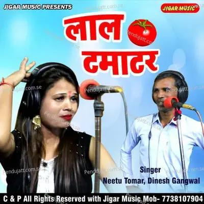 Laal Tamatar - Neetu Tomar Dinesh Gangwal album cover 