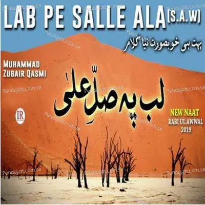 Islam Kay Thaikedar Nahi - Muhammad Zubair Qasmi album cover 