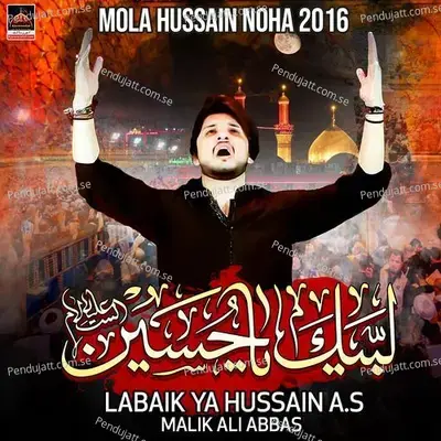 Maqtool Ki Taraf Laash-E-Shabir - Malik Ali Abbas album cover 