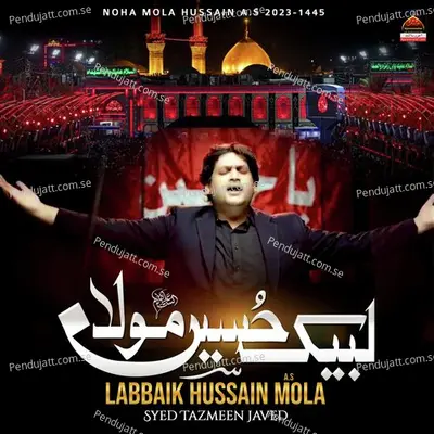 Labbaik Hussain Mola - Tazmeen Javed album cover 