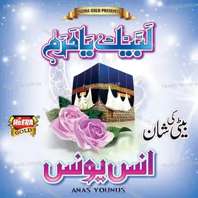 Beti Ki Shan - Anas Younus album cover 