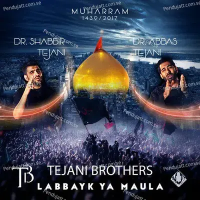 Labbayk Ya Maula - Tejani Brothers cover album